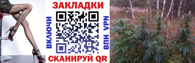 Магазин наркотиков Канаш Конопля  Кокаин  Альфа ПВП  Меф мяу мяу 