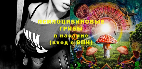 гашик Верхний Тагил