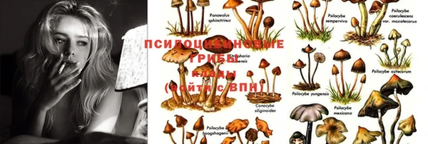 гашик Верхний Тагил