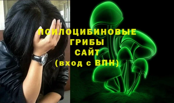 гашик Верхний Тагил